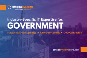 IT expertise for government