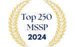 Top 250 MSSP 2024